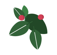 image florale en arrière-plan pour décorer le formulaire